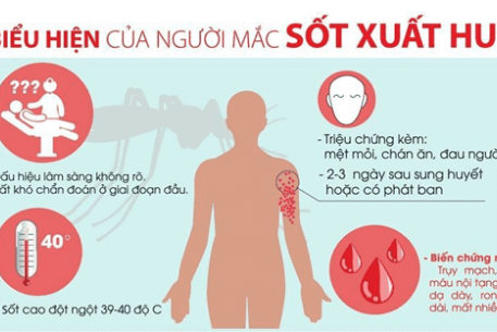 Phòng chống Sốt xuất huyết trong đại dịch COVID-19