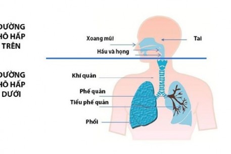 NÂNG CAO SỨC KHỎE HỆ HÔ HẤP TRONG MÙA DỊCH COVID-19