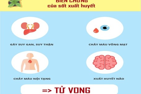 Cảnh giác với biến chứng của bệnh Sốt xuất huyết Dengue