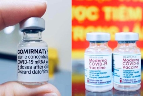 Tất cả thông tin về 2 loại vaccine phòng COVID-19 sẽ tiêm cho trẻ từ 5 - dưới 12 tuổi, phụ huynh cần biết