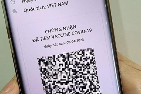 Cách kiểm tra đã được cấp hộ chiếu vaccine COVID-19 hay chưa