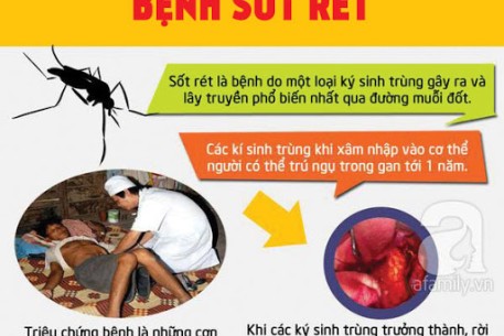 Sốt rét và các biện pháp phòng bệnh