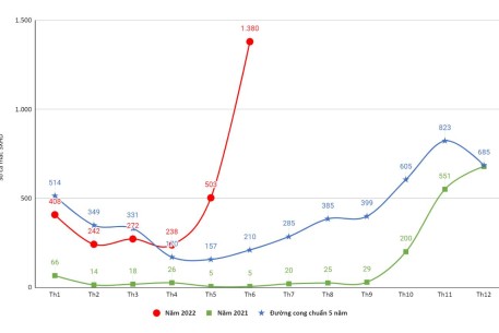 Số ca mắc sốt xuất huyết 6 tháng đầu năm 2022 tăng gấp 22,7 lần so với cùng kỳ năm 2021