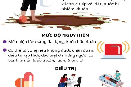 Khuyến cáo cộng đồng phòng chống Bệnh Whitmore