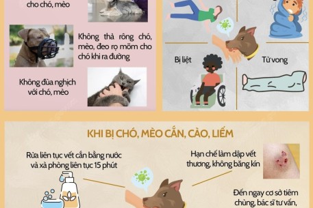 Những điều cần biết trong phòng, chống bệnh dại