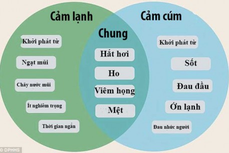 Hướng dẫn mới nhất bằng hình ảnh giúp phân biệt cảm lạnh với cúm?