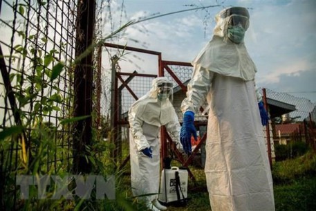 dvn ebola 632