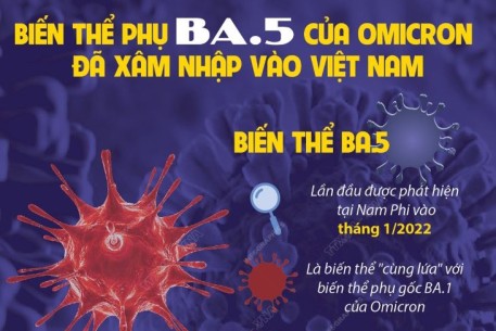 Biến thể phụ BA.5 của Omicron đã xâm nhập vào Việt Nam