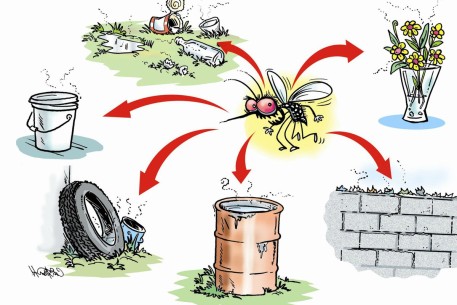 Chủ động phòng tránh bệnh Sốt xuất huyết