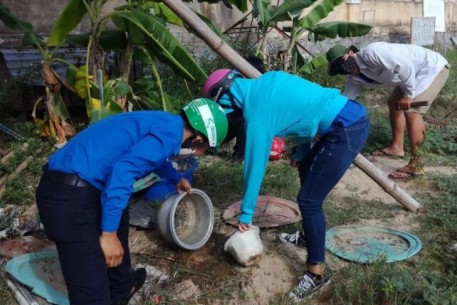 Đà Nẵng tăng cường triển khai mạnh mẽ các biện pháp phòng, chống dịch bệnh Sốt xuất huyết