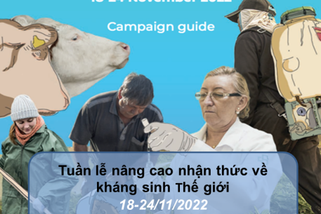 Tuần lễ nâng cao nhận thức về kháng sinh trên thế giới năm 2022 “Cùng nhau ngăn ngừa kháng thuốc”.