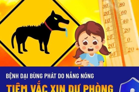 Phòng chống bệnh dại mùa nắng nóng