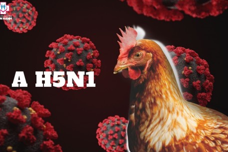 Chủ động phòng, chống Cúm A(H5N1): cảnh giác, hành động ngay từ bây giờ