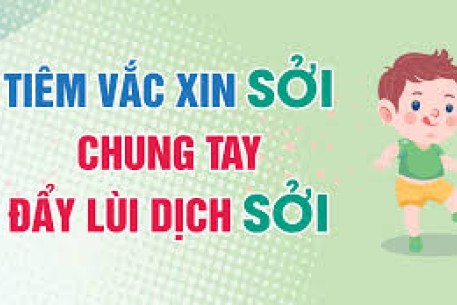 Đà Nẵng tiếp tục triển khai chiến dịch tiêm chủng vắc xin phòng, chống dịch Sởi quy mô lớn