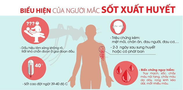 bieu hien cua sxh