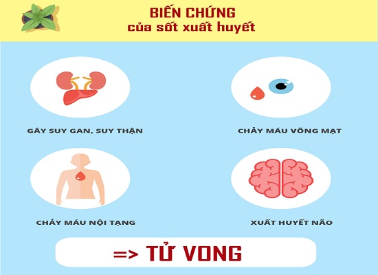 bien chung cua sot xuat huyet