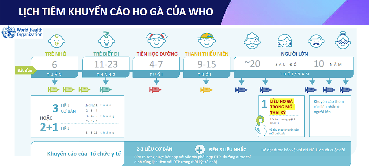 lịch tiêm phòng ho gà