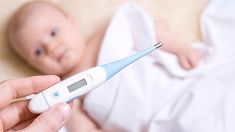 Phòng chống dịch bệnh mùa Đông Xuân
