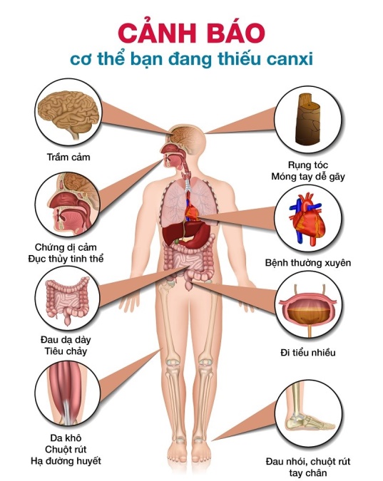 loang xương