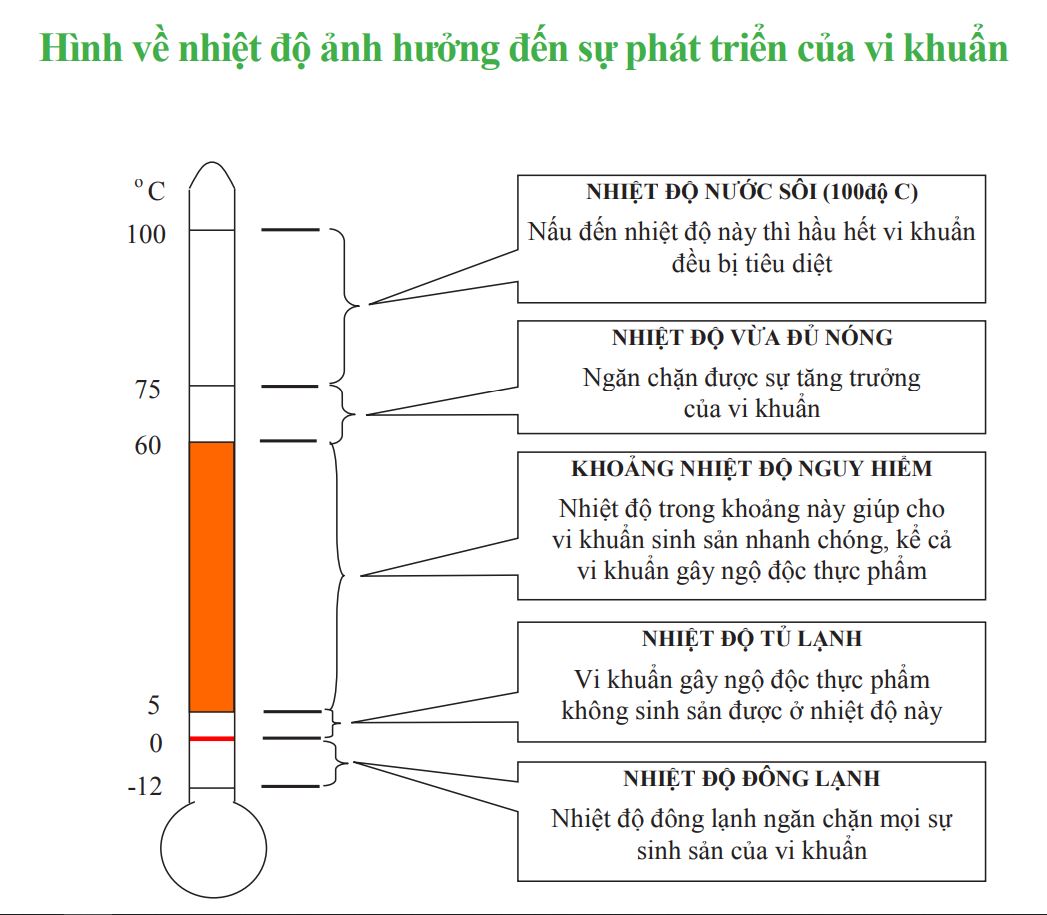 ngo doc thuc pham 2
