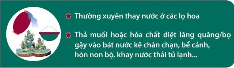 sxh2