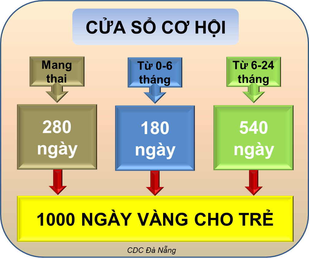 1000 ngay cho tre 2