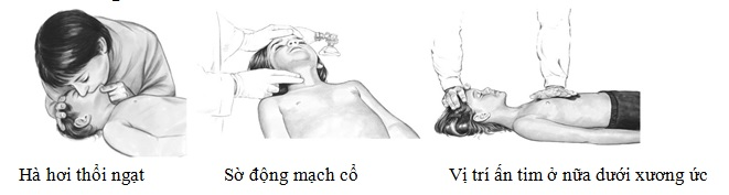 cấp cứu đuối nước