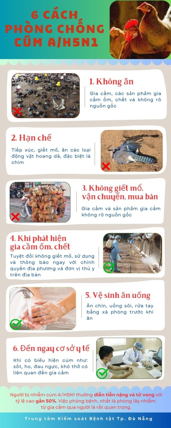 6 cách phòng chống dịch Cúm A(H5N1)